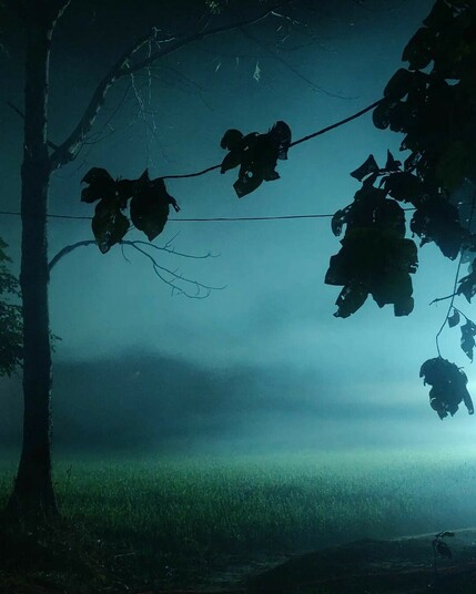 A tree and some leaves at the edge of woodland are silhouetted against a field of lush green crops at night, lit only by a pale, heavy mist seeping over the field that makes the night sky appear turquoise. In the foreground there is a narrow path in the foreground leading into the field, and a thin cable that extends across the shot at around the same high as the leaves. The photograph was posted to Instagram by cinematographer Abhishek Modak on Monday and is captioned "Captured when boys were lighting the fields."