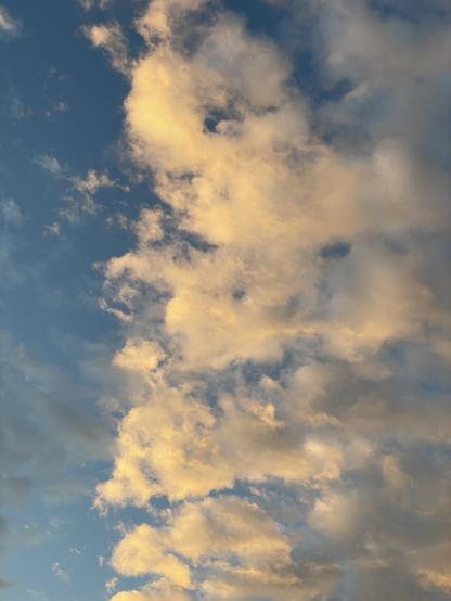 Sky full of gold lit clouds