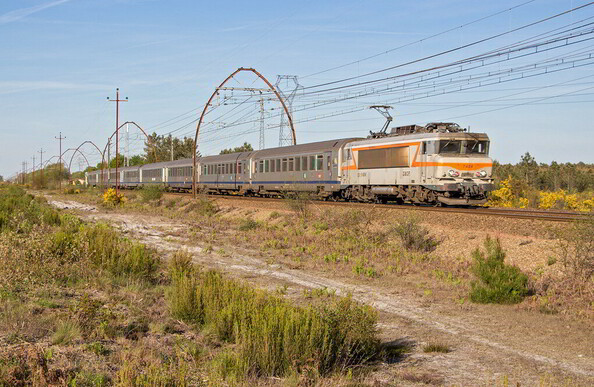 Ein TER mit Corail-Wagen fährt durch die Landes.