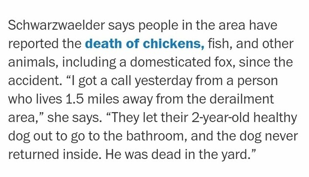 Schwarzwaelder says people in the area have reported the death of chickens, fish, and other animals, including a domesticated fox, since the accident. “I got a call yesterday from a person who lives 1.5 miles away from the derailment area,” she says. “They let their 2-year-old healthy dog out to go to the bathroom, and the dog never returned inside. He was dead in the yard.”