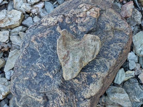 A heart-shaped rock, gray with touches of red, sitting on top of bigger black and tan rock.