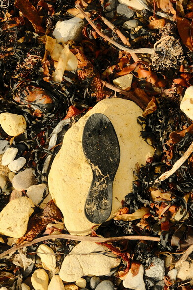 The footprint of a shoe, left 