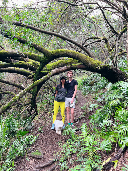 Standing under a mossy tree on the trail