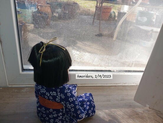 She's actually looking at the cat outside. It's hard to see. 