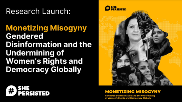 Promotional poster of the Monetizing Misogyny research series of #ShePersisted