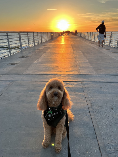 Hermosa Beach Pier