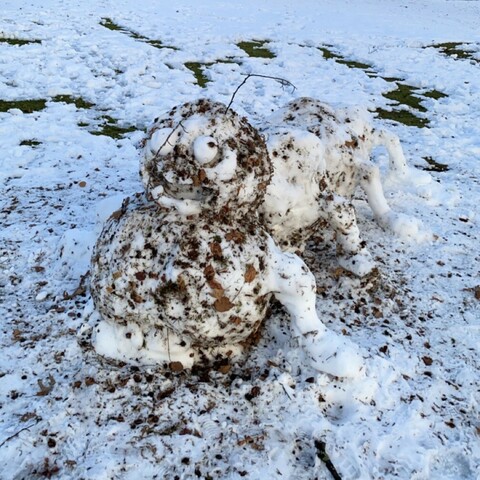 Square pic of a large snow caterpillar. Seen in Victoria Park on a snowy day. There is a lot of tree debris mixed in with the snow. The ground is mostly covered in snow.