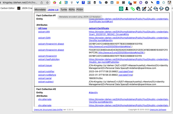 Embedded metadata included in HTML-based profile document generated by YouID.