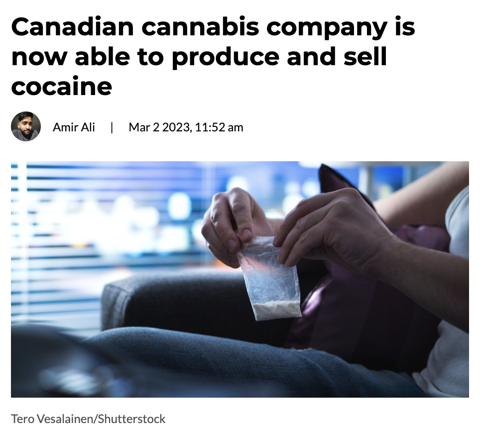 Canadian cannabis company is now able to produce and sell cocaine