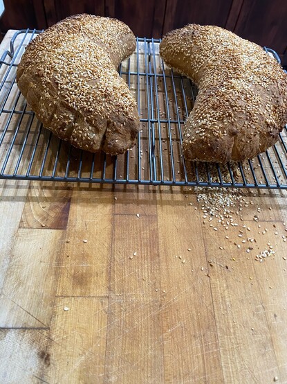 Two loaves of browned bread, shaped as a crescent moon, and shattered with white sesame seeds, some char near each end. The open areas of the crescent face each other. The loaves rest in a grey cooking rack set atop a beige butcher block cutting board. There are red mahogany cabinets in the background. 