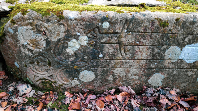 Stonework covered in moss with sword emblem 