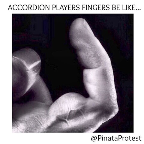 Flexed finger with a ripped bicep photoshopped onto the finger muscle. Text: Accordion player’s finger’s be like… @PinataProtest