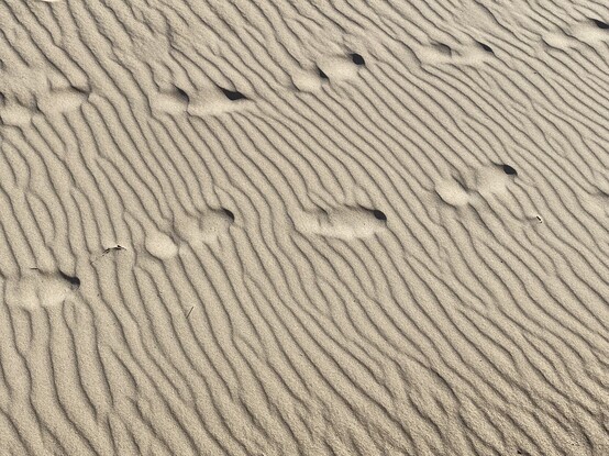 Footprints on sand breaking the wind patterns 