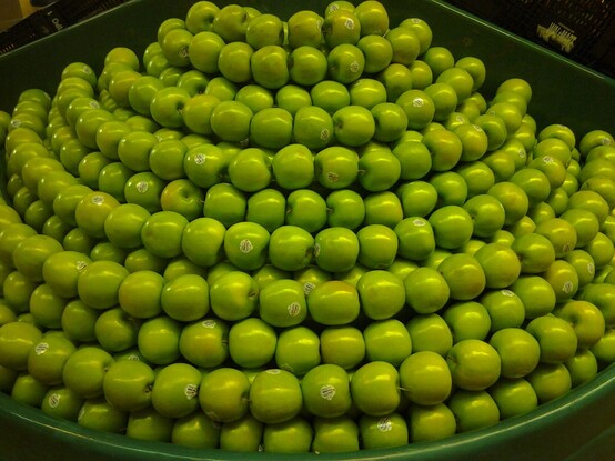 Green apples arranged in curved rows at a supermarket.