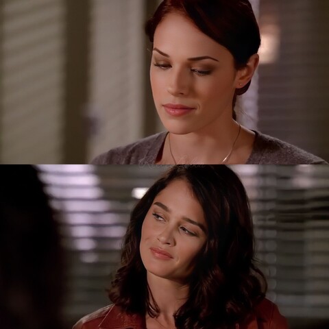 A picture of Grace Van Pelt and Teresa Lisbon of the CBI on the Mentalist TV show.