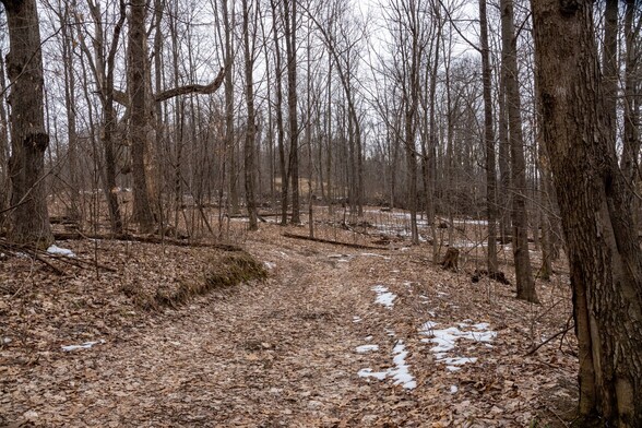 Walking on a wooded path with gently sloping terrain. The trees are bare, and it's a cloudy day. There are some small patches of snow on the ground.