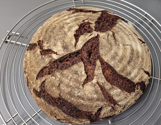 Auf einem Kuchengitter liegt ein rustikaler Laib Brot, bemehlt, mit aufgerissener Kruste. Von außen ist die ungewöhnliche Färbung nicht wirklich zu sehen. 