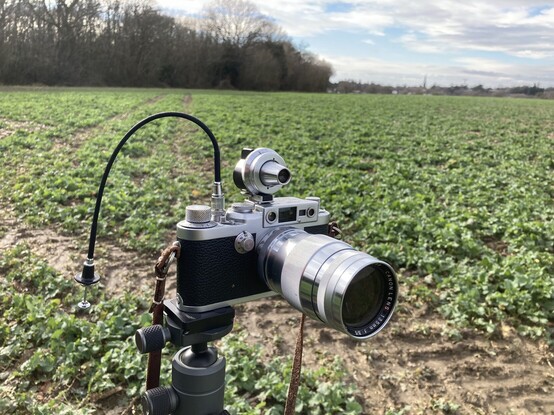A giant 135mm lens mounted to a Leica IIIg camera on a tripod in the middle of a field. 