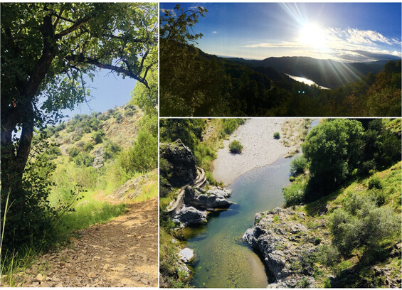 Nature Walks Trees Rivers Feel Connected