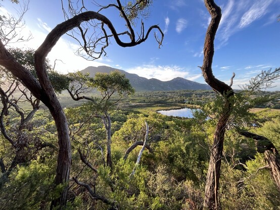 Tidal river camp site from tidal overlook path 
