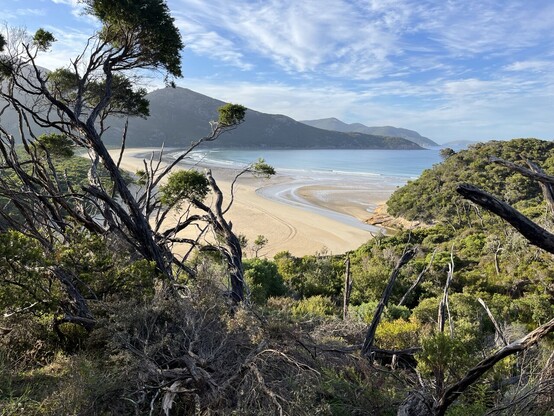 Tidal river mouth, Norman Bay 