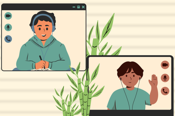 Online courses or interactive books