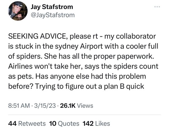 “SEEKING ADVICE, please rt - my collaborator is stuck in the sydney Airport with a cooler full of spiders. She has all the proper paperwork. Airlines won't take her, says the spiders count as pets. Has anyone else had this problem before? Trying to figure out a plan B quick”