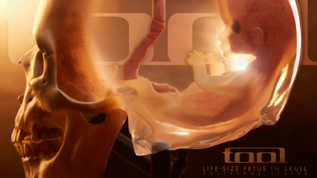 ChatGPT making things up about the article:
Tool has announced the release of a life-sized fetus skull made of a high-grade gypsum-ceramic composite, available to purchase on their website. The sculpture is limited to 500 pieces, with only a handful still available as of now. The skull is based on a 3D scan of a real human fetus and comes with a black wooden stand. The skull is priced at $1,500, with all remaining items available on a first-come, first-serve basis.

