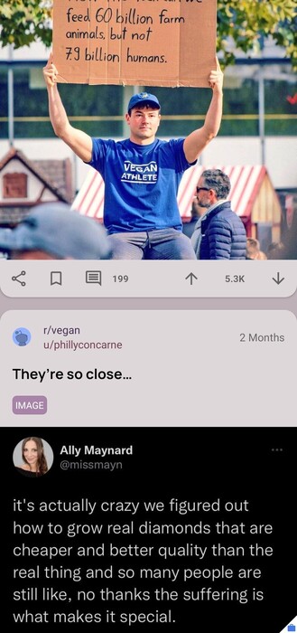 app screenshot which shows two posts on r/vegan