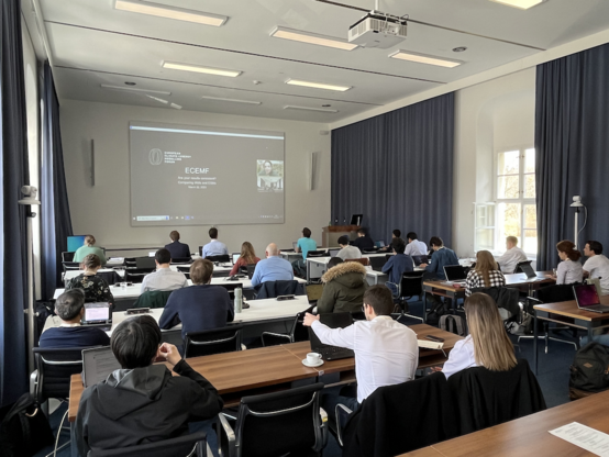 Sara Lumbreras presenting virtually at the capacity-building session at the 2023 openmod workshop hosted by IIASA