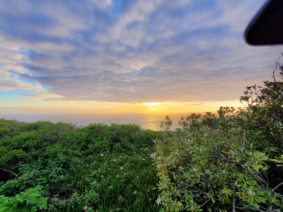 Wide-angle view with many vivid colours on display: pale blue sky and light grey fluffy clouds, Old Sol blazing yellow-orange, and the startling winter green of the climbing foliage.