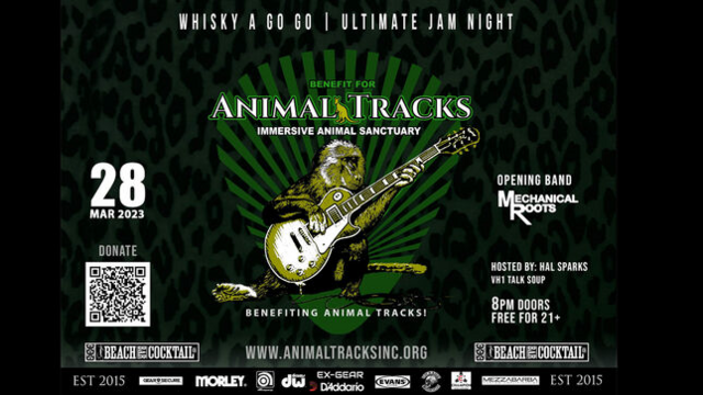 ChatGPT making things up about the article:
This article reports that Scott Ian, Phil Demmel, Chuck Wright, Dug Pinnick, Marco Mendoza, and Joey Vera are among the artists confirmed for the Ultimate Jam Night benefit for Animal Tracks Sanctuary. The show is at the Whisky A Go Go venue in Los Angeles on June 13th, with proceeds benefitting abandoned and rescued animals in need. All attendees are asked to wear animal-related themed costumes to the show, in order to spread awareness of the cause.

