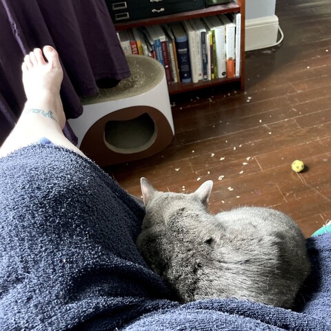 I white woman in a bathrobe sitting with one leg, propped on the arm of the chair being held in place by a 9 pound, steel and gray tabby cat.