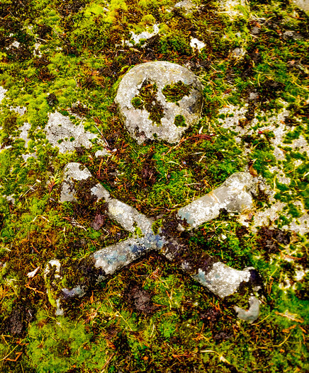 A gravestone heavily covered in moss and lichen, with a skull and crossbones showing 