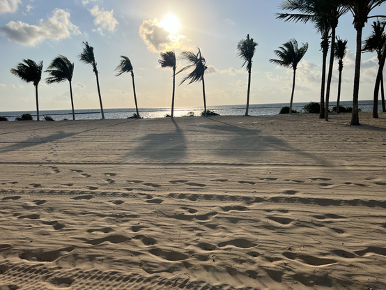 Beach scene off of Puerto Moreles, near Cancun, MX