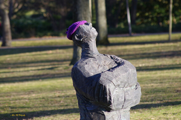 Eine Holzstatue bei Sonnenschein im Park, die eine Wollmütze auf hat.