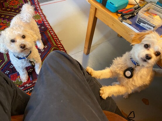 Marty, on the left, and Max on the right.