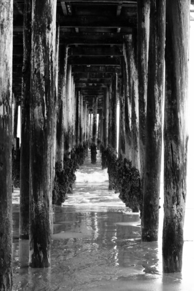 The underside of Seacliff state beach pier a few years ago, when it was intact. You can see all the posts and the wharf above, but not the cement ship.