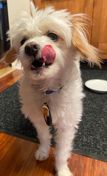 Max licking his lips.