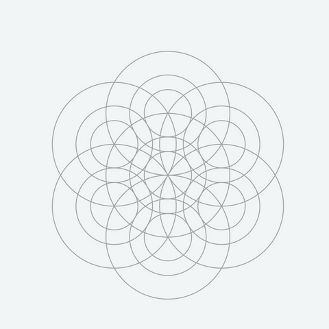 The seed of life with additional circles inside.