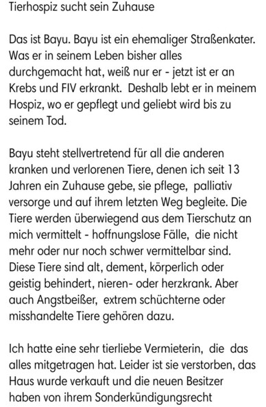 Tierhospiz sucht sein Zuhause 

Das ist Bayu. Bayu ist ein ehemaliger Straßenkater. Was er in seinem Leben bisher alles durchgemacht hat, weiß nur er - jetzt ist er an Krebs und FIV erkrankt.  Deshalb lebt er in meinem Hospiz, wo er gepflegt und geliebt wird bis zu seinem Tod.

Bayu steht stellvertretend für all die anderen kranken und verlorenen Tiere, denen ich seit 13 Jahren ein Zuhause gebe, sie pflege,  palliativ versorge und auf ihrem letzten Weg begleite. Die Tiere werden überwiegend aus dem Tierschutz an mich vermittelt - hoffnungslose Fälle,  die nicht mehr oder nur noch schwer vermittelbar sind. Diese Tiere sind alt, dement, körperlich oder geistig behindert, nieren- oder herzkrank. Aber auch Angstbeißer,  extrem schüchterne oder misshandelte Tiere gehören dazu. 

Ich hatte eine sehr tierliebe Vermieterin,  die  das alles mitgetragen hat. Leider ist sie verstorben, das Haus wurde verkauft und die neuen Besitzer haben von ihrem Sonderkūndigungsrecht Gebrauch 
