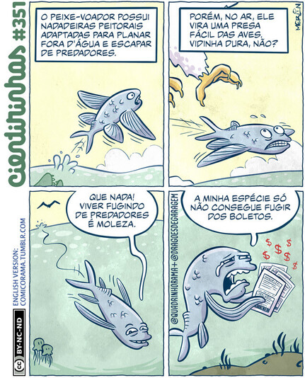 Quadro 1: um peixe-voador salta para fora d’água, deixando para trás o vulto de um peixe ameaçador. Narrador diz: O peixe-voador possui barbatanas peitorais adaptadas para planar fora d'água e escapar de predadores.  Quadro 2: o peixe-voador observa as patas de uma ave de rapina que voa acima dele. Narrador completa: Porém, no ar, ele vira uma presa fácil das aves. Vidinha dura, não?  Quadro 3: mergulhando de novo na água, o peixe-voador diz: Que nada! Viver fugindo de predadores é moleza.  Quadro 4: cheio de papéis na mão, ele chora e lamenta: A minha espécie só não consegue fugir dos boletos.