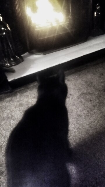 Black cat by log fire