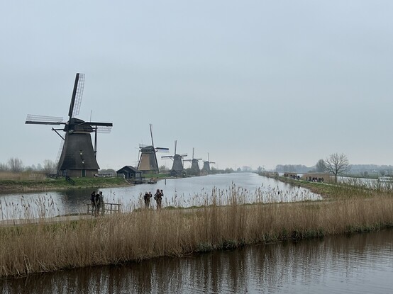 A row of old traditional wooden windmills at Kinderdijk, a UNESCO heritage site in the Netherlands. 