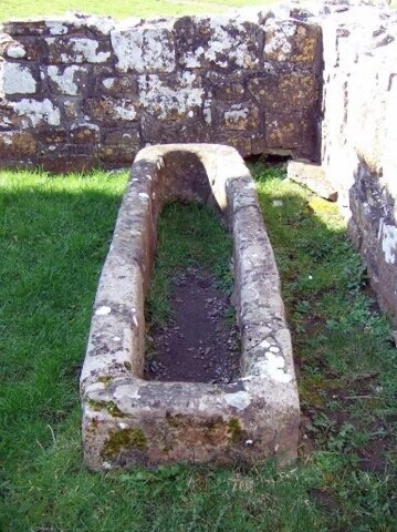 A low, stone tomb carved from a single block. The end nearest the camera is squared off, and the end farthest from the camera is slightly rounded. A small ledge that the person’s head would have rested on can just be seen at the rounded end. There is no lid on the tomb.

The ground around the tomb is covered with bright green grass, and two stone block walls mark the corner of the room the tomb was built in.