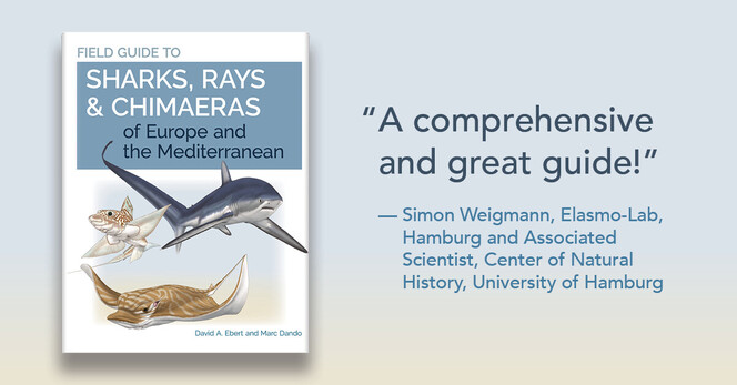 Blue to tan ombre & cover of Field Guide to Sharks, Rays & Chimaeras of Europe and the Mediterranean. "A comprehensive and great guide!"

