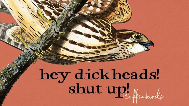 A painting of a bird above the text "hey dickheads! shut up!"