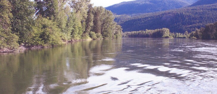 A ripple in the water of a tree lined river, with a series of tree covered hills in the mid and far distance. 