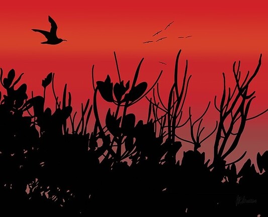 Red Sky Mangrove And Sea Bird Silhouettes by Joan Stratton - The setting sun has slipped beneath the horizon, the last of the days light paints the sky red. The coastal mangrove tree canopy silhouettes are beautifully shaped against the sky as the last of the sea birds fly into their night roosts.

A glorious sunset inspired by my home in Weipa, Queensland, Australia!

