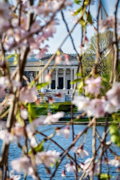 Cherry blossoms with the Cleveland Museum of Art in the background at Wade Lagoon.